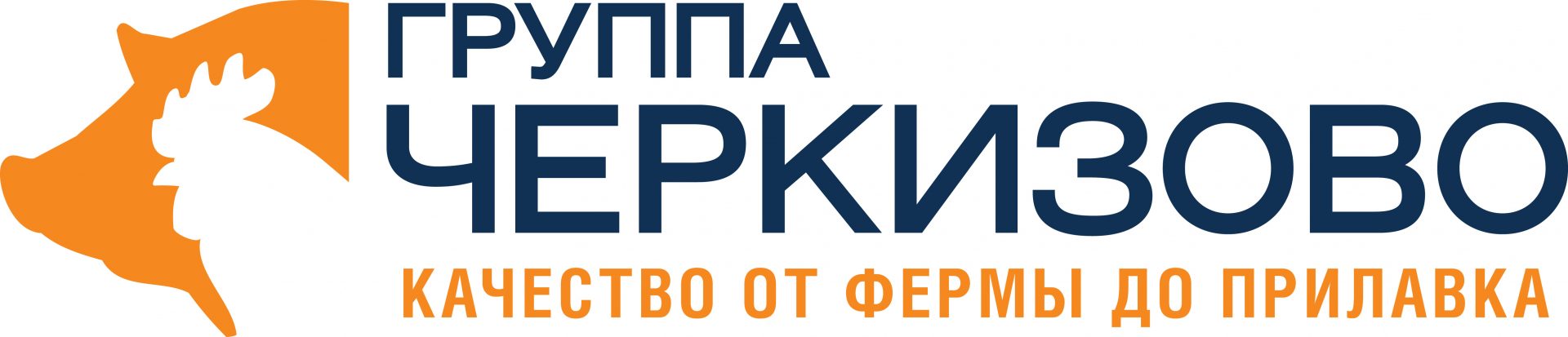 partner-logo