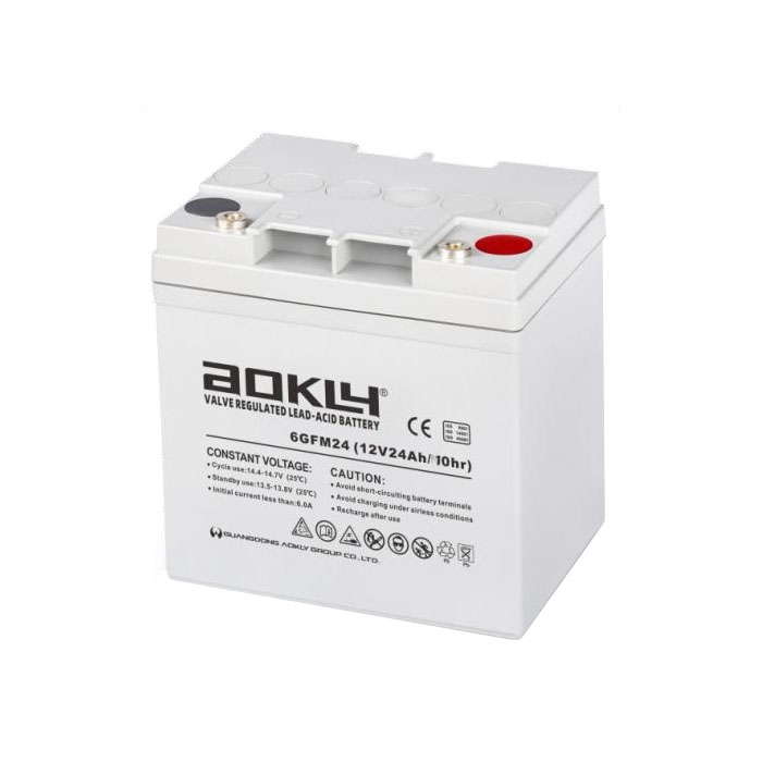 Aokly 6GFM24 12V 24Ah  (6-GFM-24 12В 24Ач)