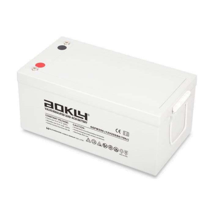 6GFM250 12V 250Ah (6-GFM-250 12В 250Ач)