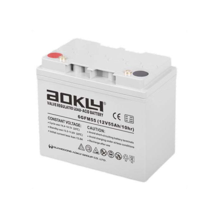 Aokly 6GFM55 12V 55Ah  (6-GFM-55 12В 55Ач)